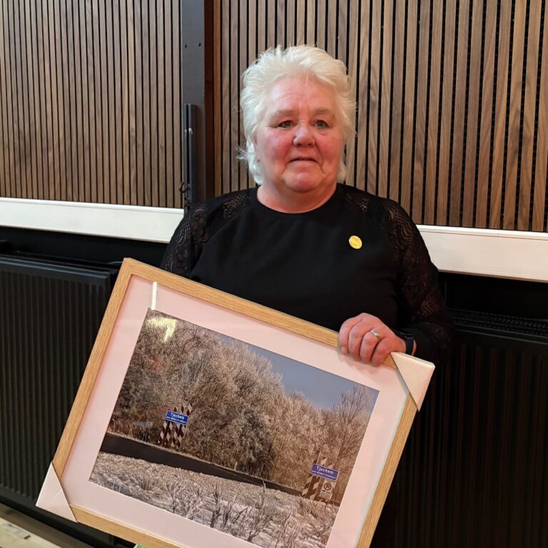 Tjuchster speld voor Diana